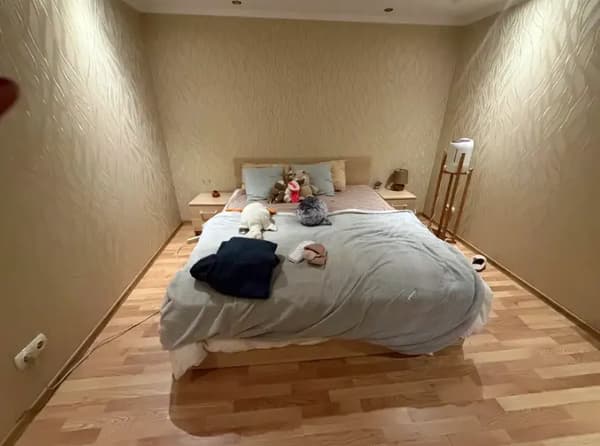 Здам 1-кімнатну квартиру 25 м², без комісії