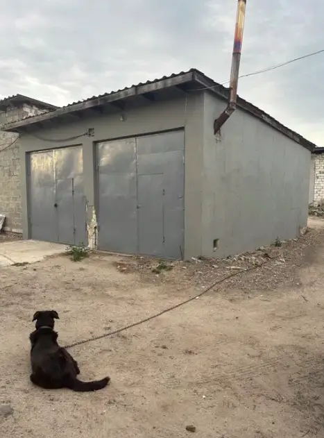 Гараж, 40 м², між Рясне-1 та Рясне-2